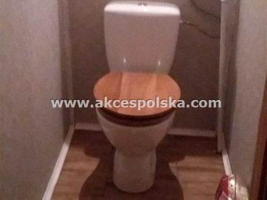 Dom wolnostojący sprzedaż