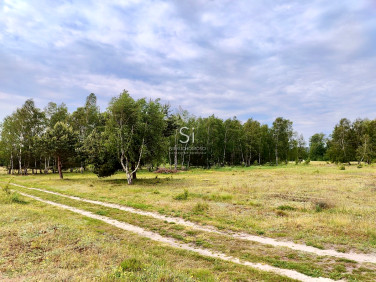 Działka budowlano-rolna Grzepnica