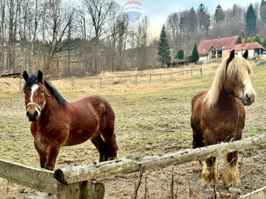 Działka budowlana Wisła