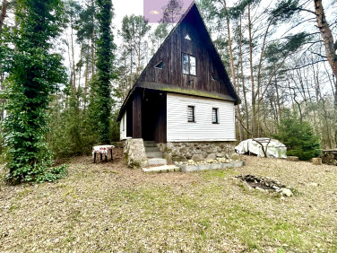 Dom Ldzań sprzedaż