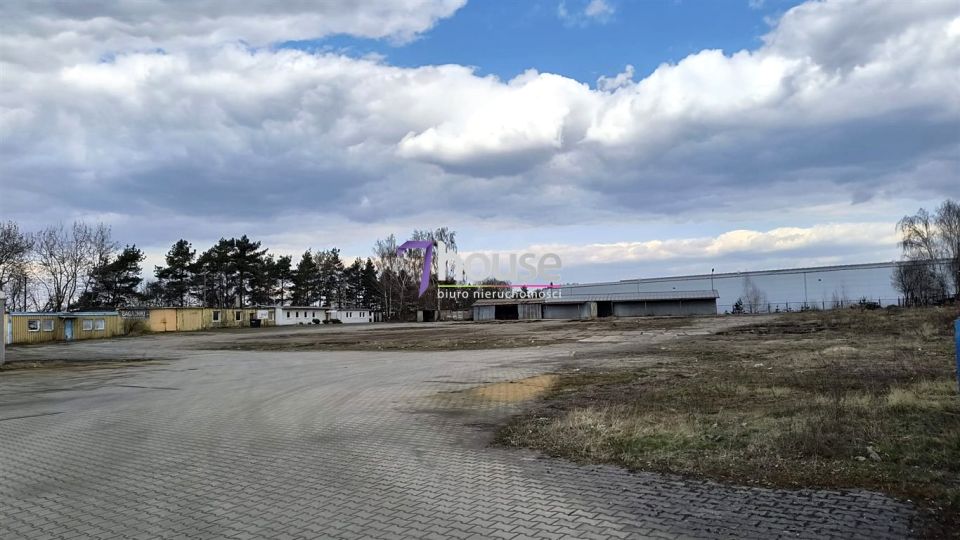 Zdjęcie 2