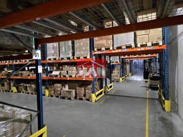 Budynek użytkowy Ignatki wynajem