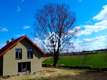 Dom Dąbrowa sprzedaż