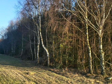 Działka rolna Chomentów