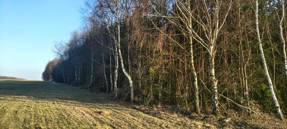 Działka rolna Chomentów