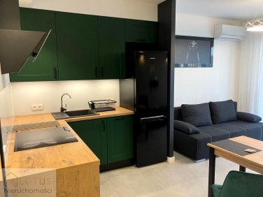 Mieszkanie Zielona Góra wynajem
