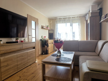 Mieszkanie Jelenia Góra