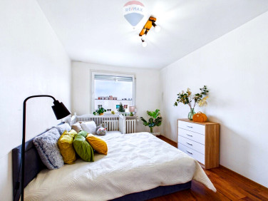 Mieszkanie Zielona Góra