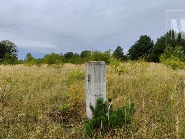 Działka rolna Rurzyca