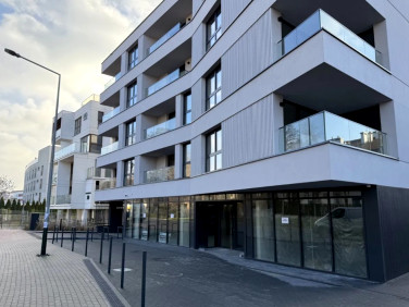 Lokal Kraków wynajem