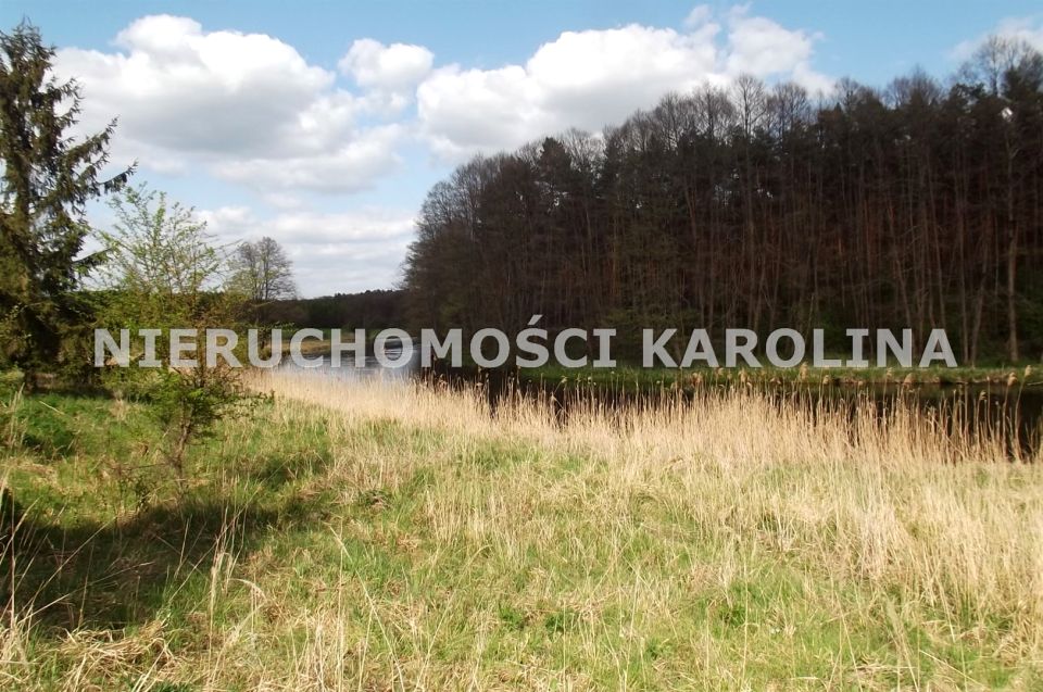 Pusta działka Płytnica