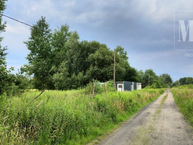 Działka rolna Żółwia Błoć