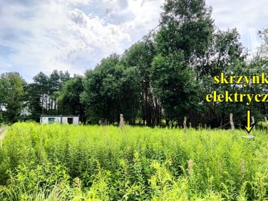 Działka Żółwia Błoć