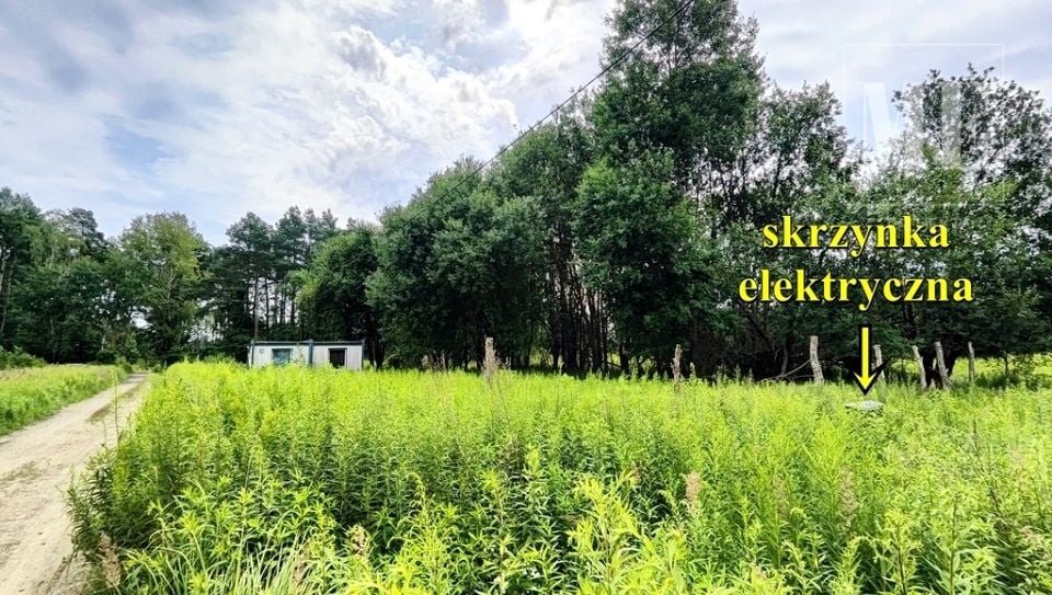 Działka Żółwia Błoć