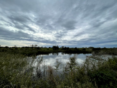Działka budowlana Radomice