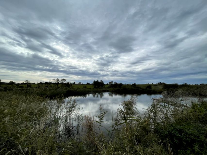 Działka budowlana Radomice