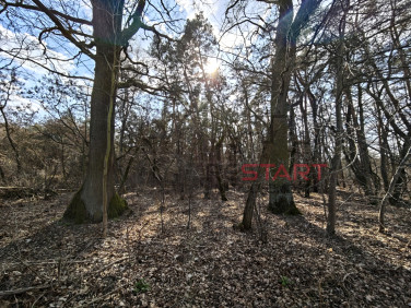 Działka budowlana Książenice