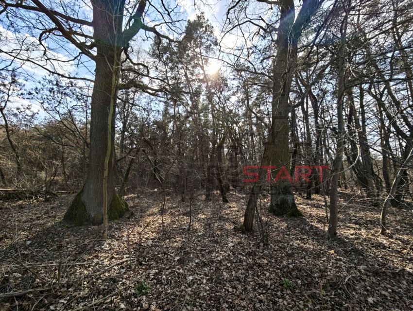 Działka budowlana Książenice