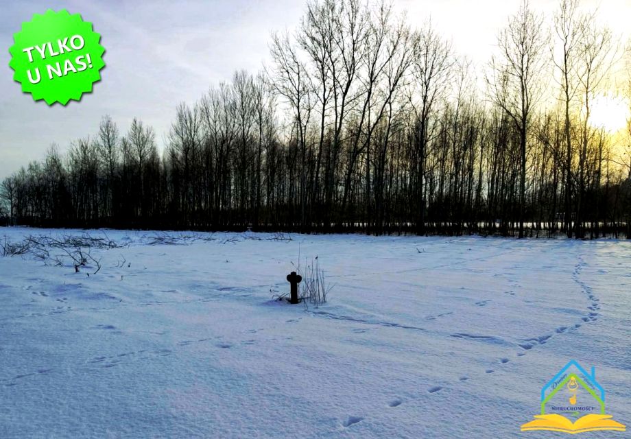 Działka budowlana Koryta