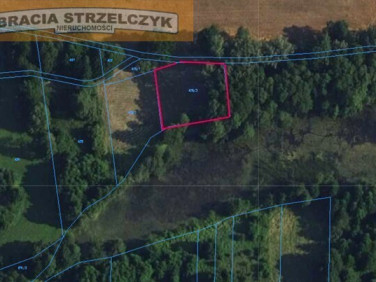 Działka rekreacyjna Nowa Wieś