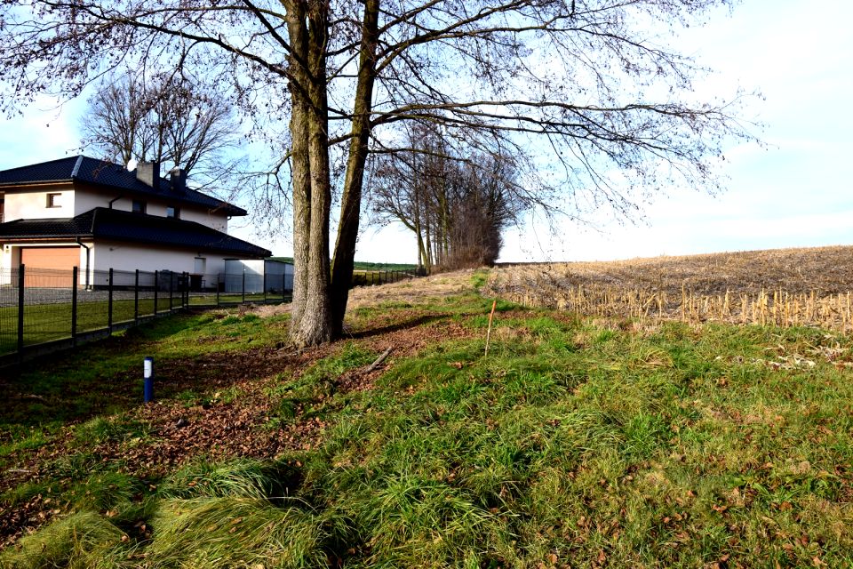 Działka budowlana Studzionka