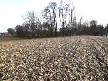 Działka budowlana sprzedam