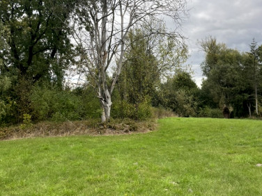 Działka budowlana Mężenin