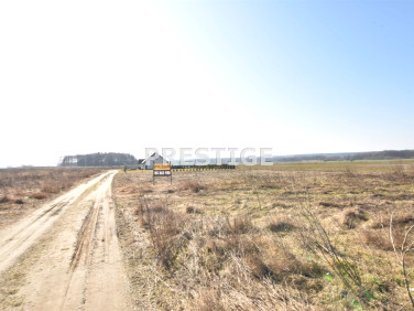 Działka Krzeczyn Wielki