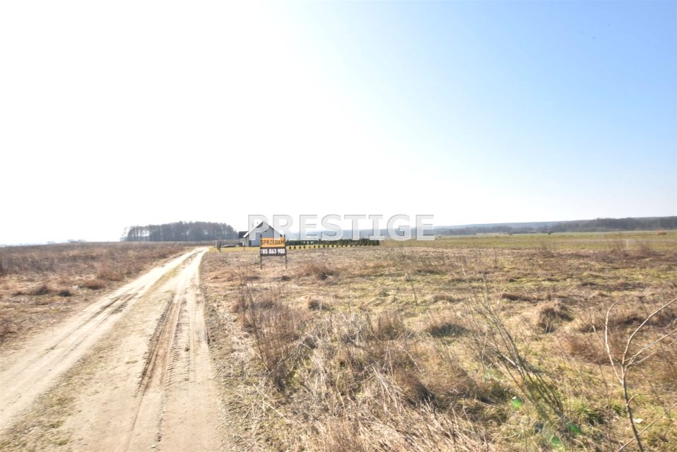 Działka Krzeczyn Wielki