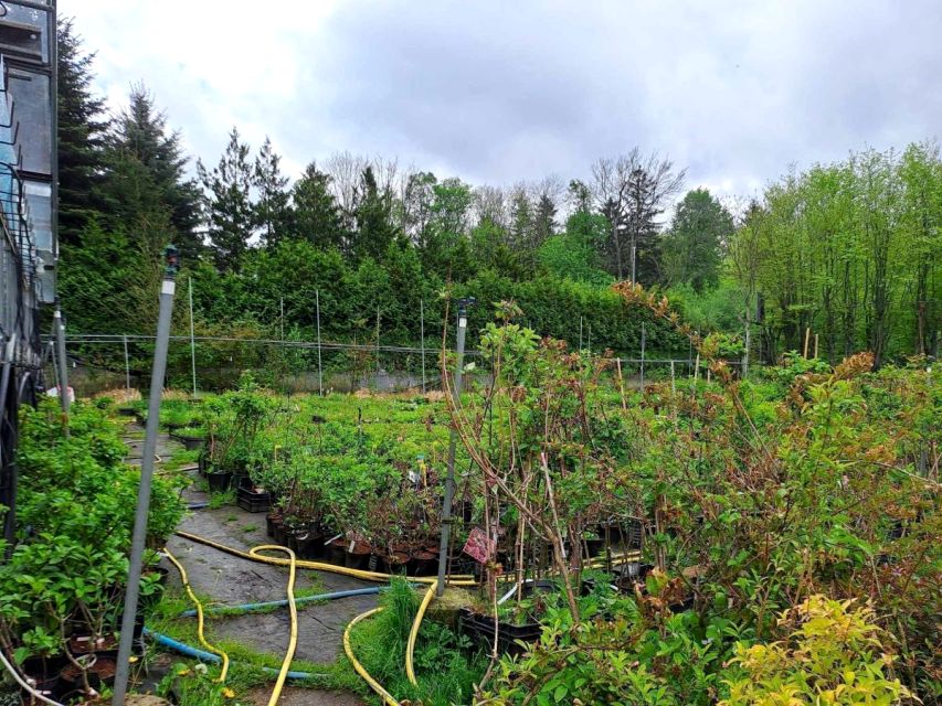 Działka budowlana Karpacz