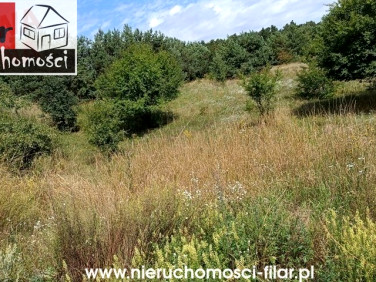 Działka budowlana Kruszyn