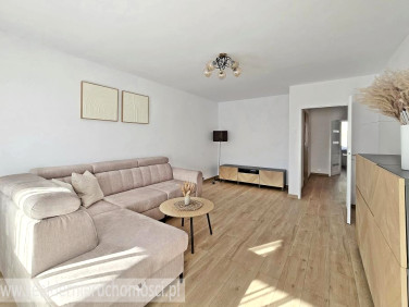 Mieszkanie Zielona Góra