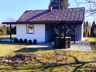 Dom Palikije Pierwsze