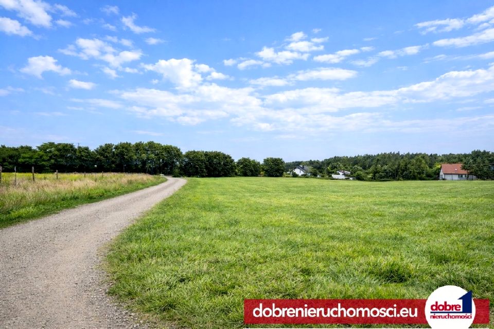 Działka Żołędowo