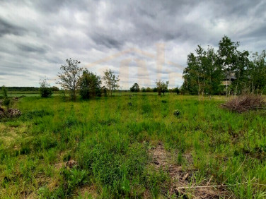 Działka budowlana Kazuń Polski