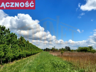 Działka rolna Dębówka