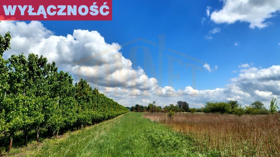 Działka rolna Dębówka