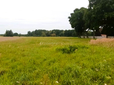 Działka budowlana Brzezie