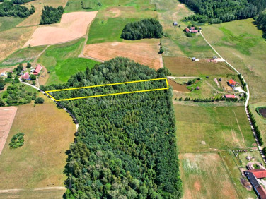 Działka leśna Kukowo