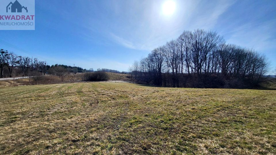 Działka budowlano-rolna Pogrodzie