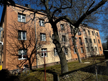 Mieszkanie Piotrków Trybunalski