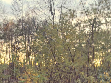 Działka budowlana Granica