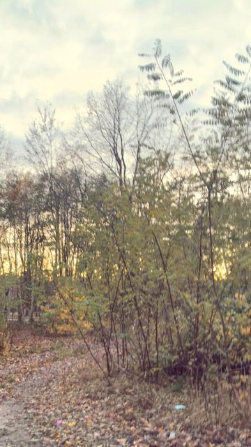 Działka budowlana Granica