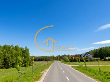 Działka leśna Linia