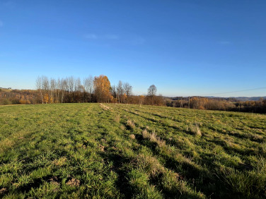 Działka rolna Zalasowa sprzedam