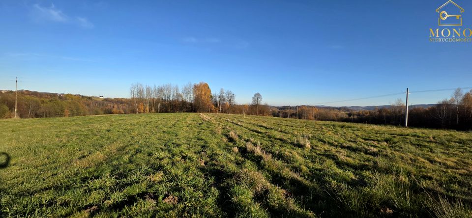 Działka rolna Zalasowa sprzedam