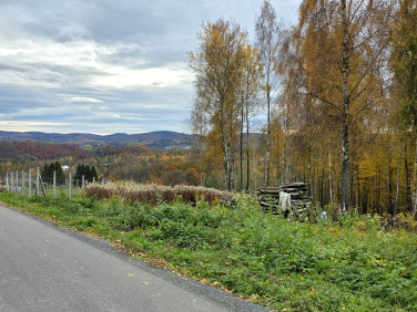 Działka rekreacyjna Ryglice sprzedam