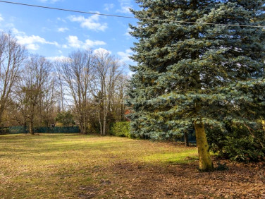 Działka budowlana Skierniewice