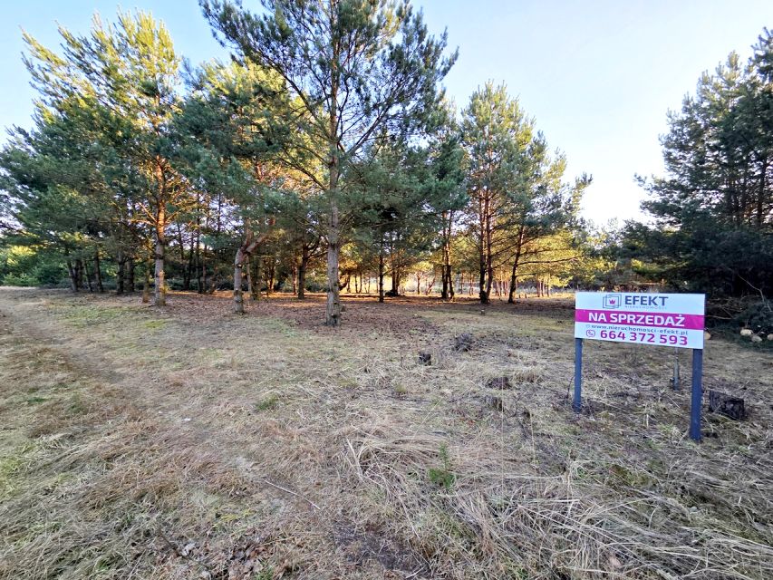 Zalesiona działka Strzyżewo Smykowe