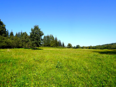 Działka budowlana Męcina Wielka